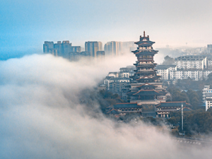 税务一线调研 | 在“中国科技城”，“税路通”如何助推“绵阳制造”闯世界？