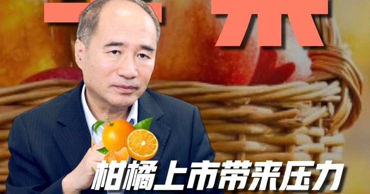 柑橘上市带来压力，苹果后市怎么走？