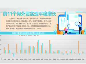 前11月货物进出口39.79万亿元