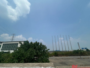 约209亩土地使用权将被收回 怡球资源收补偿决定书