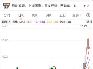 5连板“大牛股”公告：公司股票价格存在较高的炒作风险！