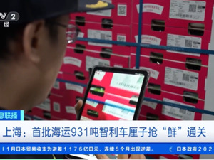 价格大跳水！“顶流”水果平均降幅20%，商户：应该还会跌