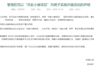 有不法分子假冒民政部、财政部发文，杜撰“共赴小康项目”，实施诈骗活动！中国社会福利基金会发布声明