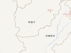 阿富汗临时政府：巴基斯坦对阿轰炸已致46人死亡，强烈谴责，明显是侵略行为