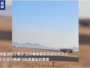 120人死亡！韩客机遭鸟撞击画面曝光，泰国总理发声