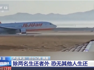 最终确认179人遇难 ！韩国宣布进入7天国家哀悼期！济州航空五年曾缴纳安全罚金超37亿韩元