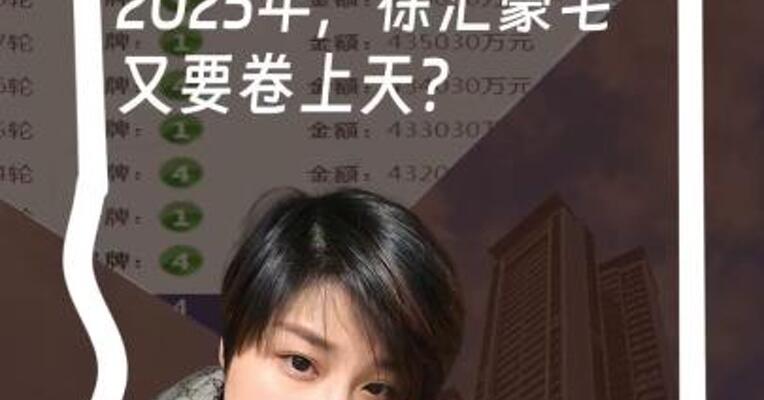 这家民企豪赌上海楼市未来 鏖战101轮 抢下全国第二贵！ 2025年，徐汇豪宅高度又要刷新了？