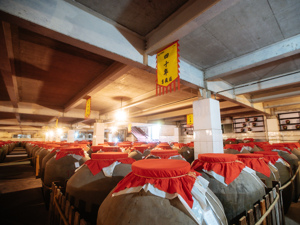 贵州茅台、五粮液、山西汾酒、洋河股份、泸州老窖、古井贡酒已全部官宣！共分红超490亿元