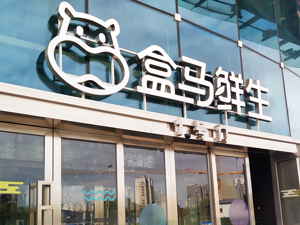 盒马新任CEO严筱磊发全员信：连续9个月盈利，顾客数增长超过50%