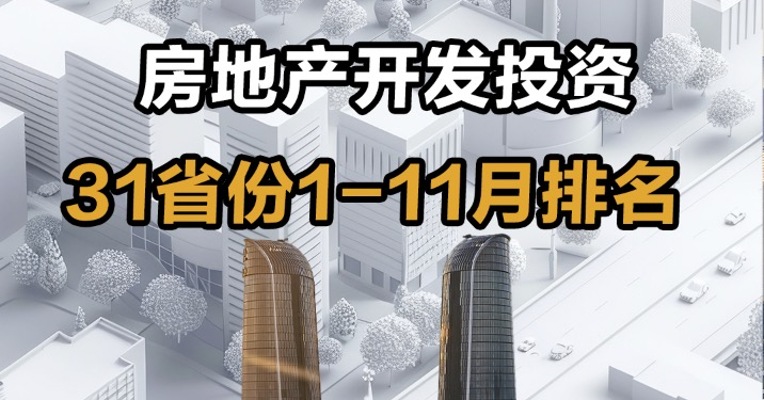  房地产开发投资 31省份2024年1-11月排名