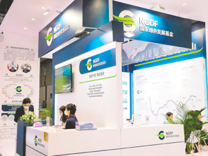 2024年度纯ESG基金盘点：规模缩水，长期表现稳健
