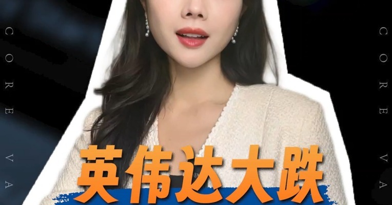 品牌价值观丨英伟达大跌 AI到现实还有多远