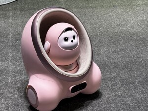 图片报道丨暴走万步看CES2025：人头攒动，遍地AI