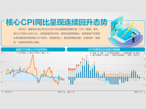2024年全国CPI同比上涨0.2% 专家：一揽子增量政策和存量政策对总需求有所提振