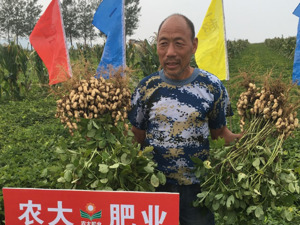 新三板挂牌不足4个月 农大科技闯关北交所