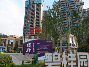 碧桂园披露境外债重组进展：与7家银行达成共识，拟减少债务最多116亿美元