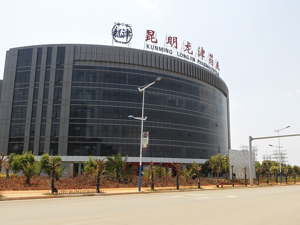 龙津药业2024年业绩预亏面临退市风险 难解中药注射剂依赖难题