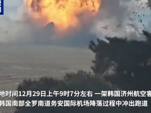 韩国公开空难发生前8分钟细节：客机机体与大量鸟类相撞！务安机场跑道“致命土墙”将被拆除
