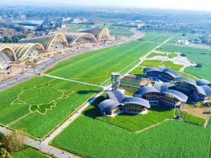 成都新津推出3条新春旅游路线 “解锁”春节文旅新体验