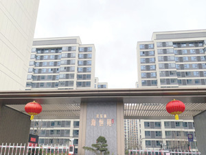 20个月实现竣备交付！ 这个经适房项目被网友评价“最像商品房”