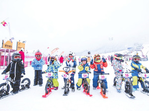冰雪经济“点燃”研学游：哈尔滨研学团提前两月售罄，南方冰雪地也一席难求