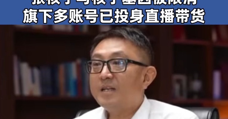 #张核子因未履行20万元案款被限制高消费，旗下多账号已投身直播带货