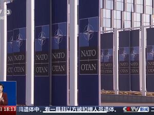 美官员：乌克兰加入北约“不在考虑范围”！如何结束俄乌冲突？泽连斯基有了新提议