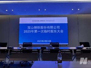 直击股东大会 | 宝钢股份：实现8000万吨+产能目标没有变 大模型在高炉、热轧等工序已有部分成果体现