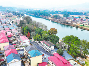 中央财办副主任、中央农办副主任祝卫东答每经问：乡村建设要尽力而为、量力而行