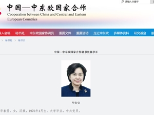 华春莹，添新职！