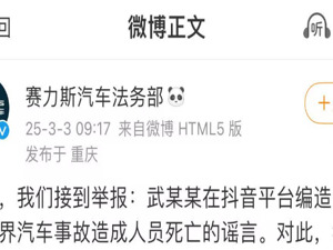 赛力斯称武某某散布谣言已被治安处罚，鸿蒙智行重金悬赏征集黑公关线索
