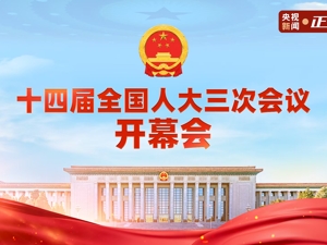 直播丨十四届全国人大三次会议开幕会