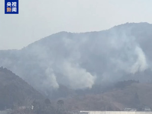 日本遭遇50年来最严重山火  美国南、北卡罗来纳州山火持续蔓延
