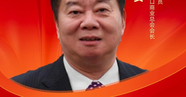 全国政协委员、大湾区进出口商业总会会长 林龙安 : 推动“AI + 跨境电商”深度融合 进一步提升大湾区发展活力