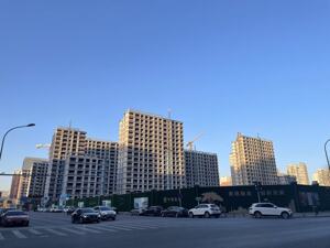 “期待有效落实执行”，政府工作报告明确定调房地产，数位房企相关负责人表态