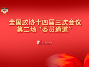 全国政协十四届三次会议第二场“委员通道”