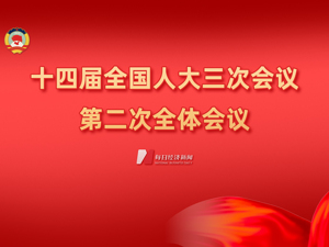 直播｜十四届全国人大三次会议第二次全体会议