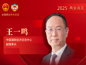 专访中国国际经济交流中心副理事长王一鸣：培育战略性新兴产业不意味着通过行政力量直接配置资源，“一哄而上”往往会造成资源错配