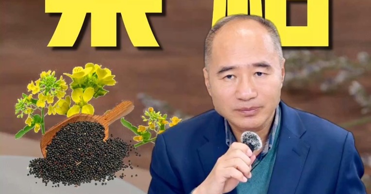 菜粕涨停！上涨驱动因素有哪些？