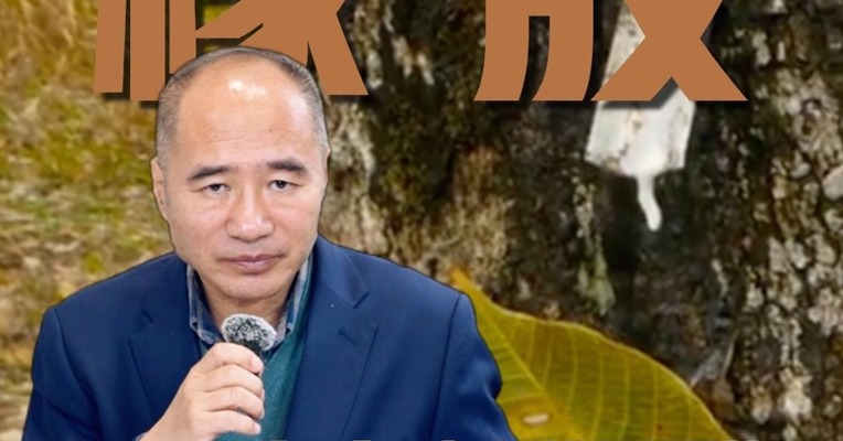 去库略低于预期，橡胶后市怎么看？