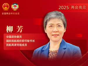 专访全国政协委员、ICAO前任秘书长、民航局原党组成员柳芳：低空经济发展关键要素之一是应用场景的开发培育，仅靠补贴可能缺乏持久性