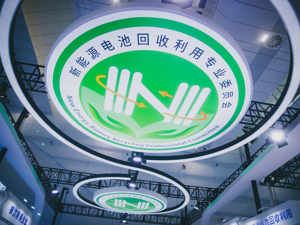 100观察丨实力和业绩说话：新能源品牌已崛起！
