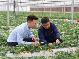 全国金融系统“学雷锋模范”胡豪杰： 志愿服务十年坚守 践行新时代雷锋精神