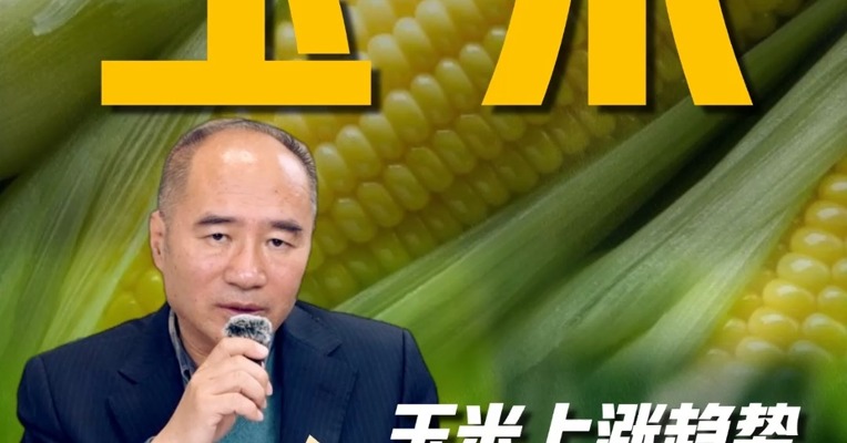 玉米上涨趋势或仍然未完成，可以长线关注吗？