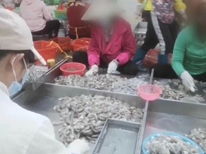 借3万仅到账1.4万！3·15晚会曝光“电子签”高利贷：最高年化利率近6000%！1斤虾仁7两冰，“保水虾仁”被点名