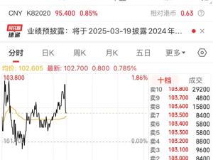 安踏体育2024年收入超708亿元，股东应占溢利同比增长52.4%！公司股价午后跳水，一度跌超7%