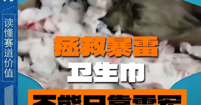 拯救暴雷卫生巾 不能只靠雷军