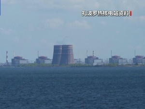 美国想“拥有并管理”扎波罗热核电站！泽连斯基：无意转让！美特使：正安排俄乌“非直接谈判”