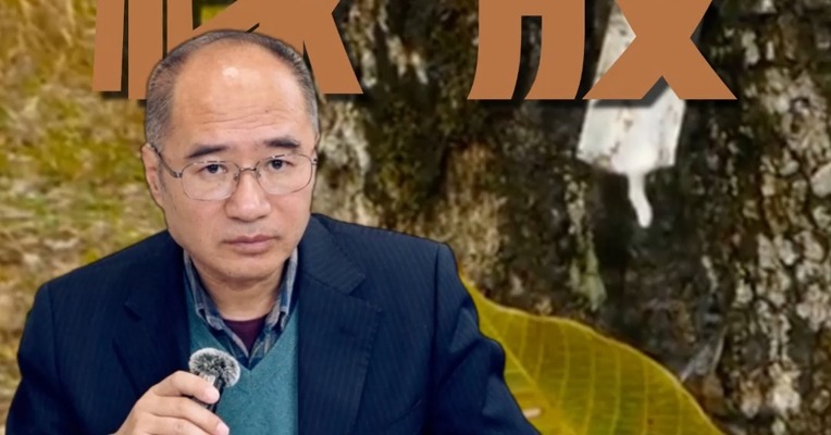 橡胶震荡下探，短期走势有变化吗？