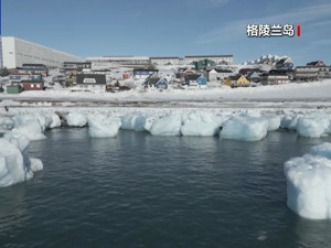 特朗普称美代表团是受邀出访！格陵兰岛：没邀请你们！丹麦外交大臣表态